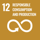 sdg_icon_12_en